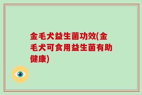 金毛犬益生菌功效(金毛犬可食用益生菌有助健康)
