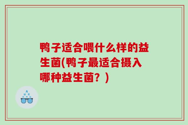 鸭子适合喂什么样的益生菌(鸭子最适合摄入哪种益生菌？)