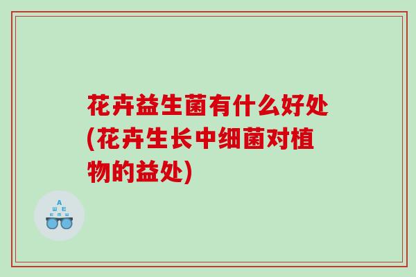 花卉益生菌有什么好处(花卉生长中对植物的益处)