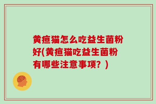 黄疸猫怎么吃益生菌粉好(黄疸猫吃益生菌粉有哪些注意事项？)