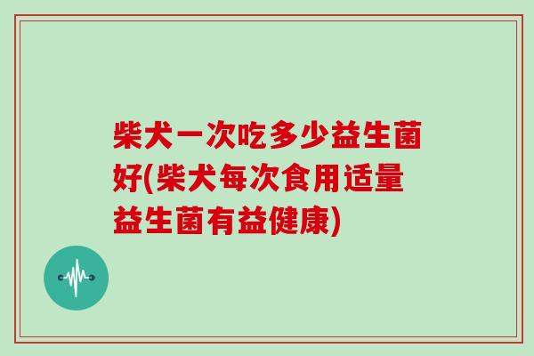 柴犬一次吃多少益生菌好(柴犬每次食用适量益生菌有益健康)