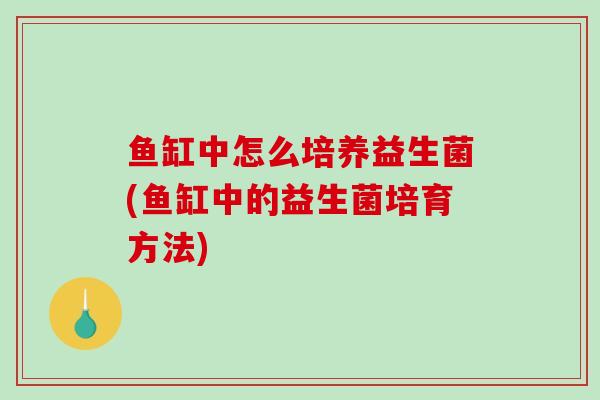 鱼缸中怎么培养益生菌(鱼缸中的益生菌培育方法)