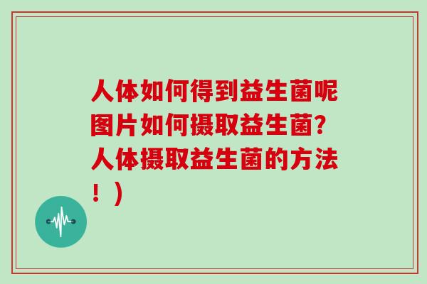 人体如何得到益生菌呢图片如何摄取益生菌？人体摄取益生菌的方法！)