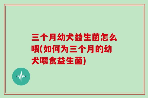 三个月幼犬益生菌怎么喂(如何为三个月的幼犬喂食益生菌)