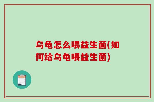 乌龟怎么喂益生菌(如何给乌龟喂益生菌)