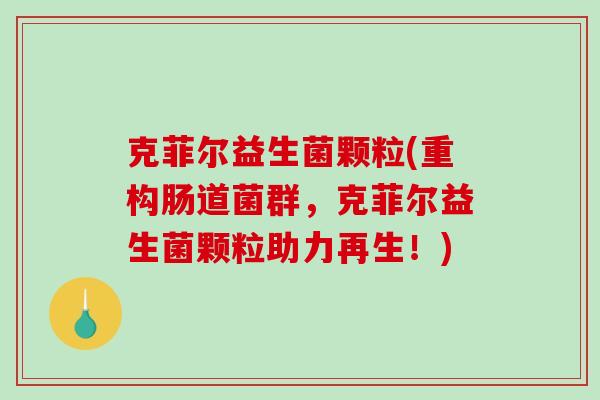 克菲尔益生菌颗粒(重构肠道菌群，克菲尔益生菌颗粒助力再生！)