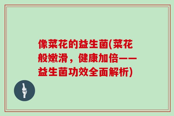 像菜花的益生菌(菜花般嫩滑，健康加倍——益生菌功效全面解析)