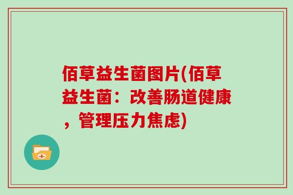 佰草益生菌图片(佰草益生菌:改善肠道健康,管理压力) 佰草益生菌图片(佰草益生菌:改善肠道健康,管理压力)