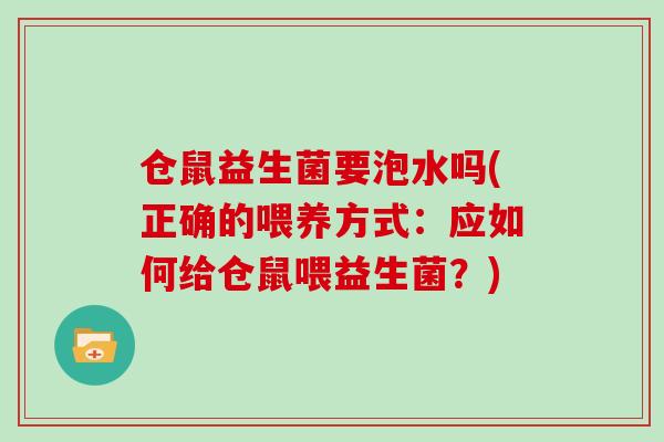 仓鼠益生菌要泡水吗(正确的喂养方式：应如何给仓鼠喂益生菌？)