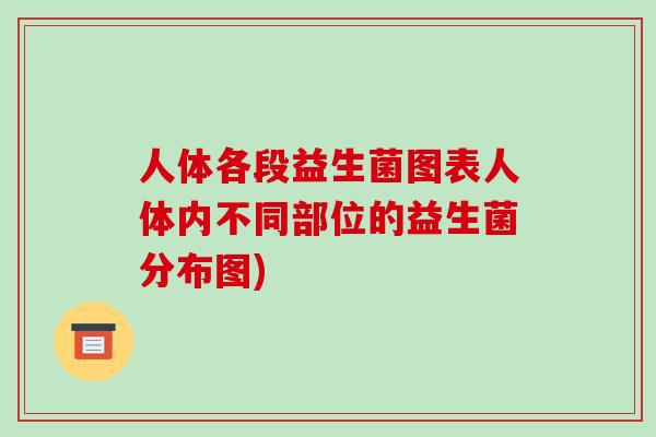 人体各段益生菌图表人体内不同部位的益生菌分布图)