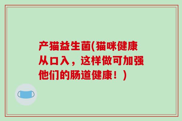 产猫益生菌(猫咪健康从口入，这样做可加强他们的肠道健康！)
