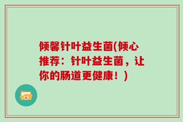 倾馨针叶益生菌(倾心推荐：针叶益生菌，让你的肠道更健康！)