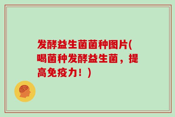 发酵益生菌菌种图片(喝菌种发酵益生菌，提高免疫力！)