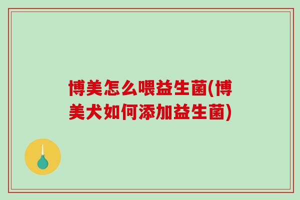 博美怎么喂益生菌(博美犬如何添加益生菌)