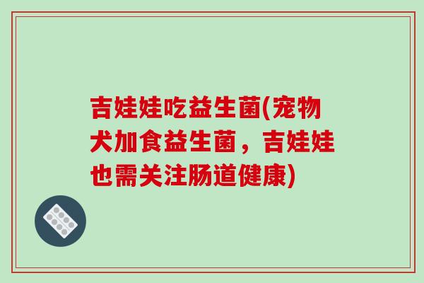 吉娃娃吃益生菌(宠物犬加食益生菌，吉娃娃也需关注肠道健康)