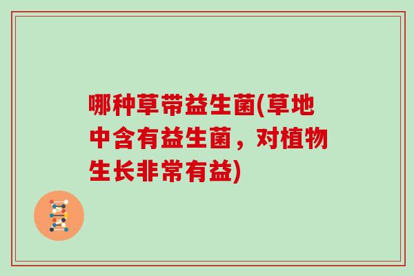哪种草带益生菌(草地中含有益生菌，对植物生长非常有益)