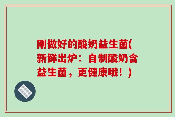 刚做好的酸奶益生菌(新鲜出炉：自制酸奶含益生菌，更健康哦！)