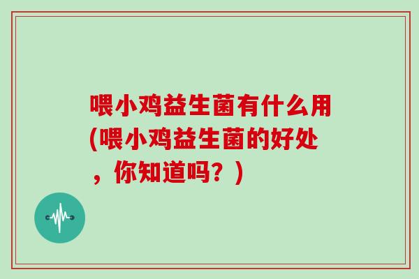 喂小鸡益生菌有什么用(喂小鸡益生菌的好处，你知道吗？)