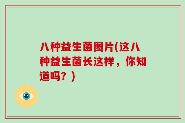 八种益生菌图片(这八种益生菌长这样，你知道吗？)
