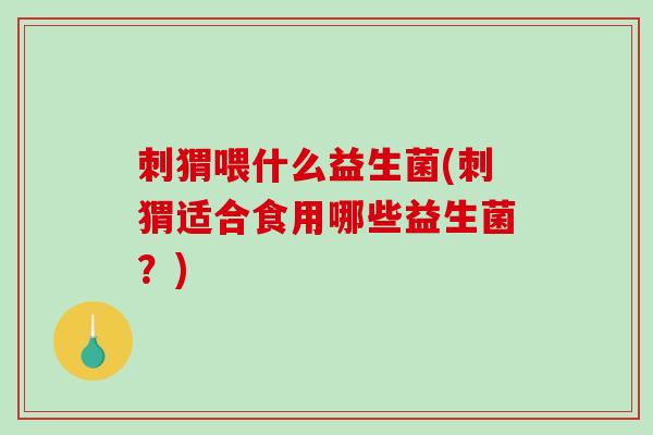 刺猬喂什么益生菌(刺猬适合食用哪些益生菌?) 刺猬喂什么益生菌(刺猬适合食用哪些益生菌?)