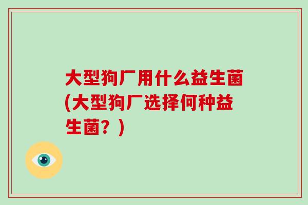 大型狗厂用什么益生菌(大型狗厂选择何种益生菌？)