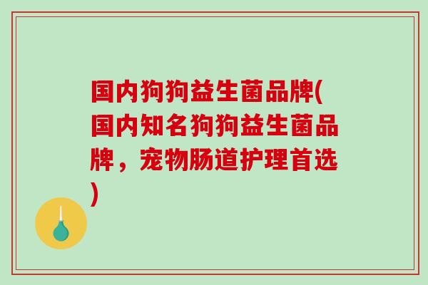 国内狗狗益生菌品牌(国内知名狗狗益生菌品牌，宠物肠道护理首选)