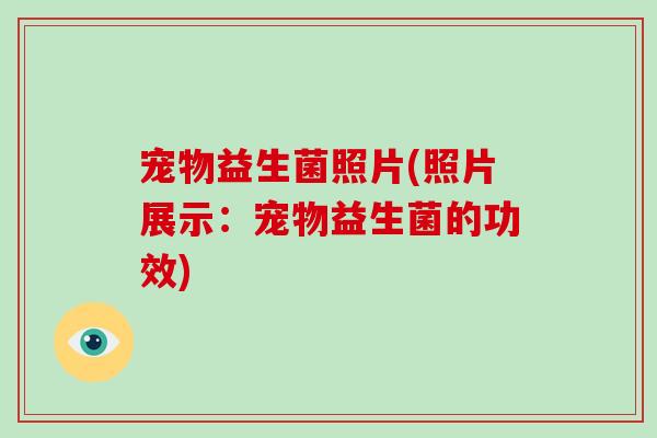 宠物益生菌照片(照片展示：宠物益生菌的功效)