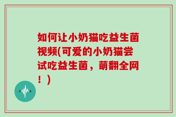 如何让小奶猫吃益生菌视频(可爱的小奶猫尝试吃益生菌，萌翻全网！)