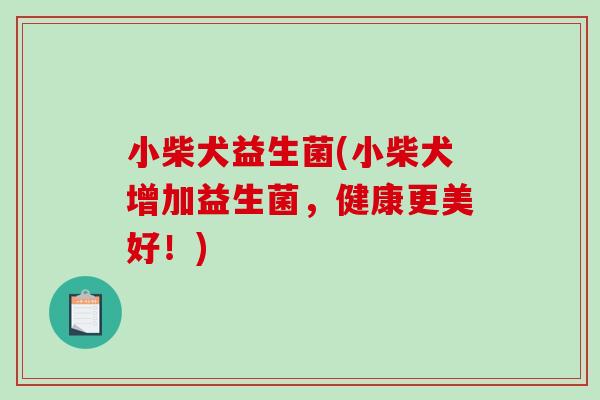 小柴犬益生菌(小柴犬增加益生菌，健康更美好！)