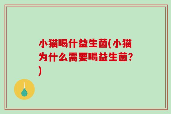 小猫喝什益生菌(小猫为什么需要喝益生菌?) 小猫喝什益生菌(小猫为什么需要喝益生菌?)
