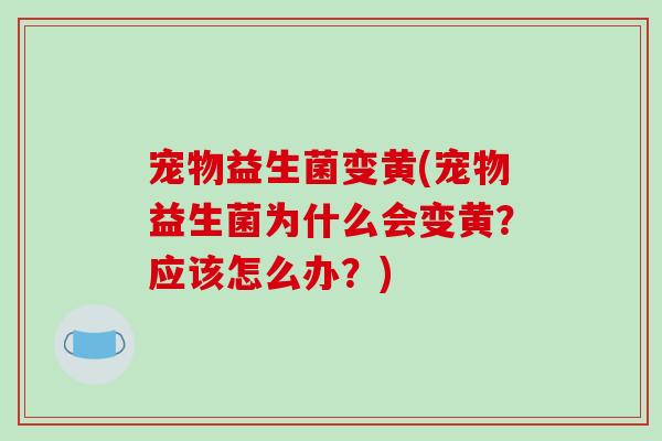 宠物益生菌变黄(宠物益生菌为什么会变黄？应该怎么办？)