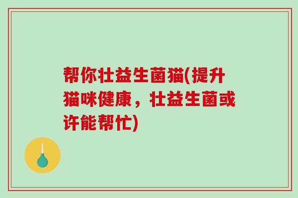 帮你壮益生菌猫(提升猫咪健康，壮益生菌或许能帮忙)