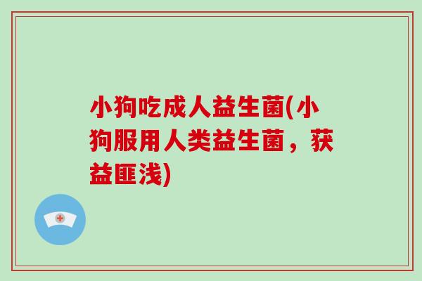 小狗吃成人益生菌(小狗服用人类益生菌，获益匪浅)