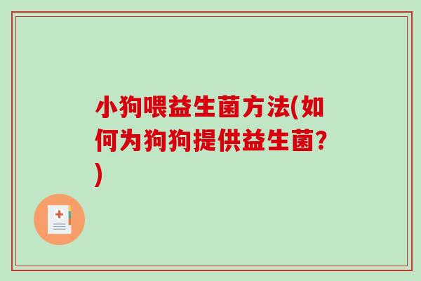 小狗喂益生菌方法(如何为狗狗提供益生菌？)