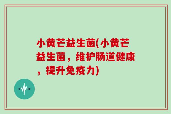 小黄芒益生菌(小黄芒益生菌，维护肠道健康，提升免疫力)