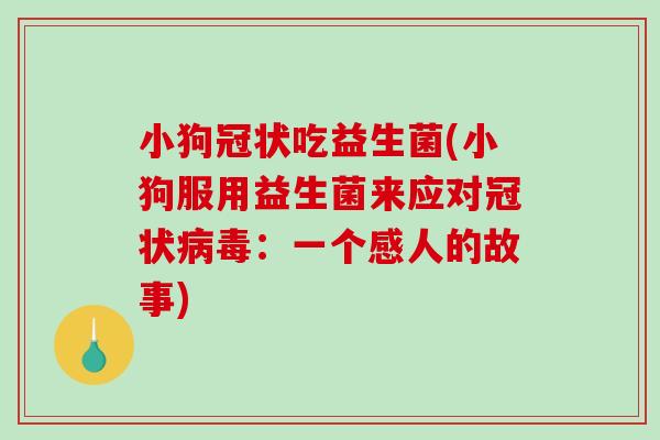 小狗冠状吃益生菌(小狗服用益生菌来应对冠状病毒：一个感人的故事)