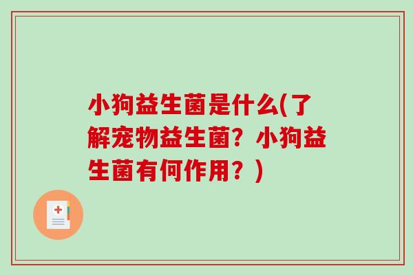 小狗益生菌是什么(了解宠物益生菌？小狗益生菌有何作用？)