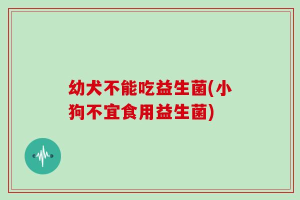 幼犬不能吃益生菌(小狗不宜食用益生菌)