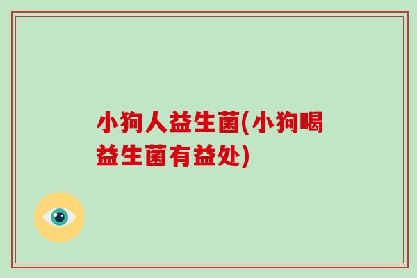 小狗人益生菌(小狗喝益生菌有益处)