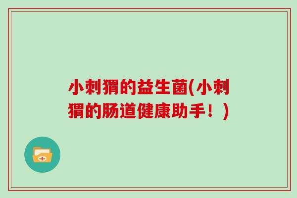 小刺猬的益生菌(小刺猬的肠道健康助手！)