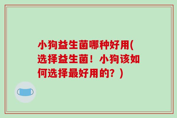 小狗益生菌哪种好用(选择益生菌！小狗该如何选择好用的？)