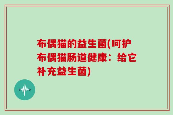布偶猫的益生菌(呵护布偶猫肠道健康：给它补充益生菌)