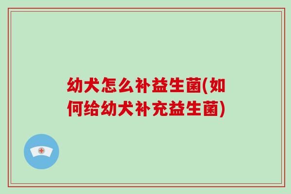 幼犬怎么补益生菌(如何给幼犬补充益生菌) 幼犬怎么补益生菌(如何给幼犬补充益生菌)