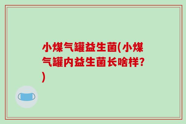 小煤气罐益生菌(小煤气罐内益生菌长啥样？)