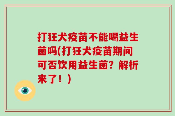 打狂犬疫苗不能喝益生菌吗(打狂犬疫苗期间可否饮用益生菌？解析来了！)