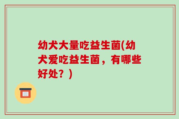 幼犬大量吃益生菌(幼犬爱吃益生菌，有哪些好处？)