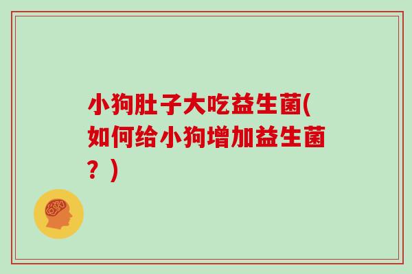 小狗肚子大吃益生菌(如何给小狗增加益生菌？)