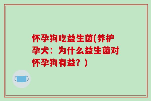 怀孕狗吃益生菌(养护孕犬：为什么益生菌对怀孕狗有益？)