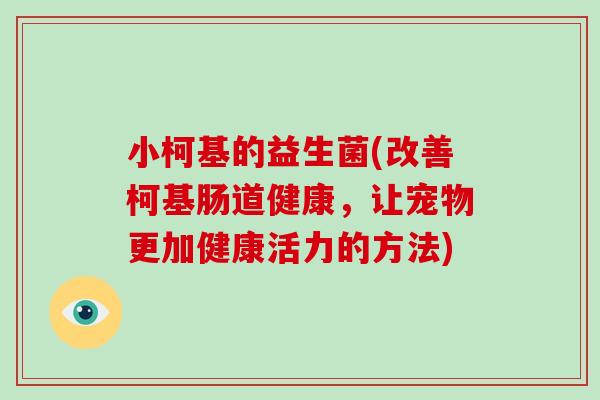 小柯基的益生菌(改善柯基肠道健康,让宠物更加健康活力的方法) 小柯基的益生菌(改善柯基肠道健康,让宠物更加健康活力的方法)