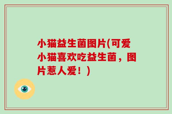 小猫益生菌图片(可爱小猫喜欢吃益生菌，图片惹人爱！)